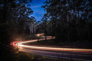 "Rosegum Trails" by Punk Dad Stills