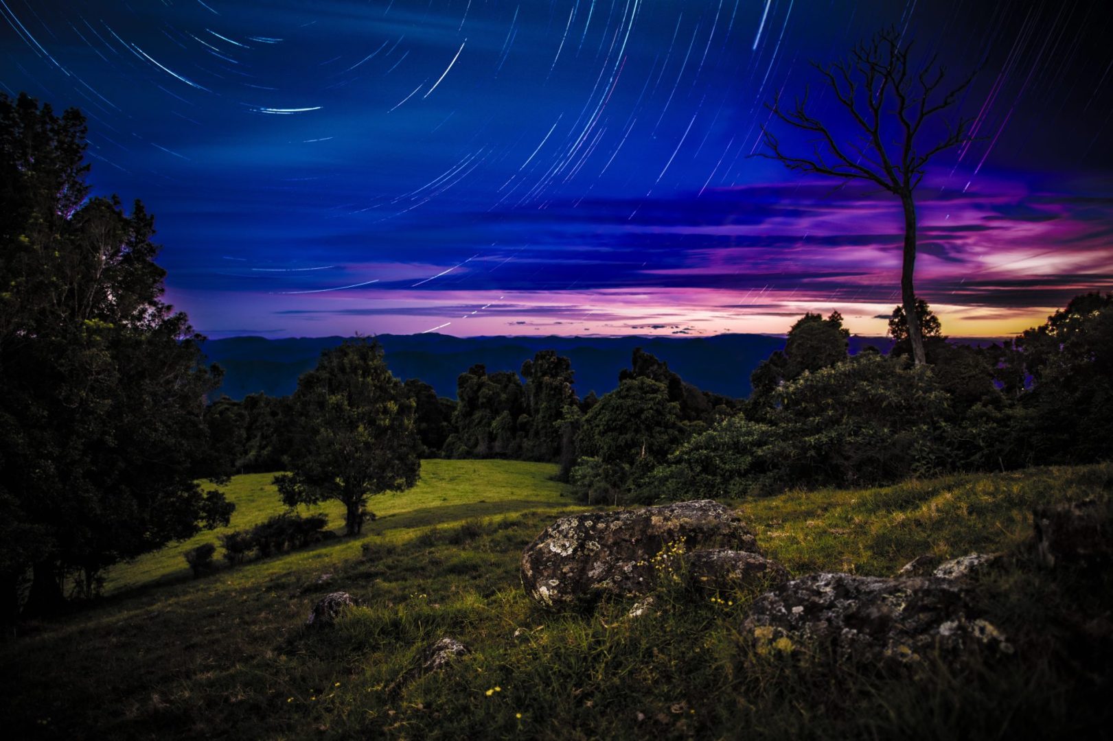 "Griffith Star Trails" by Punk Dad Stills