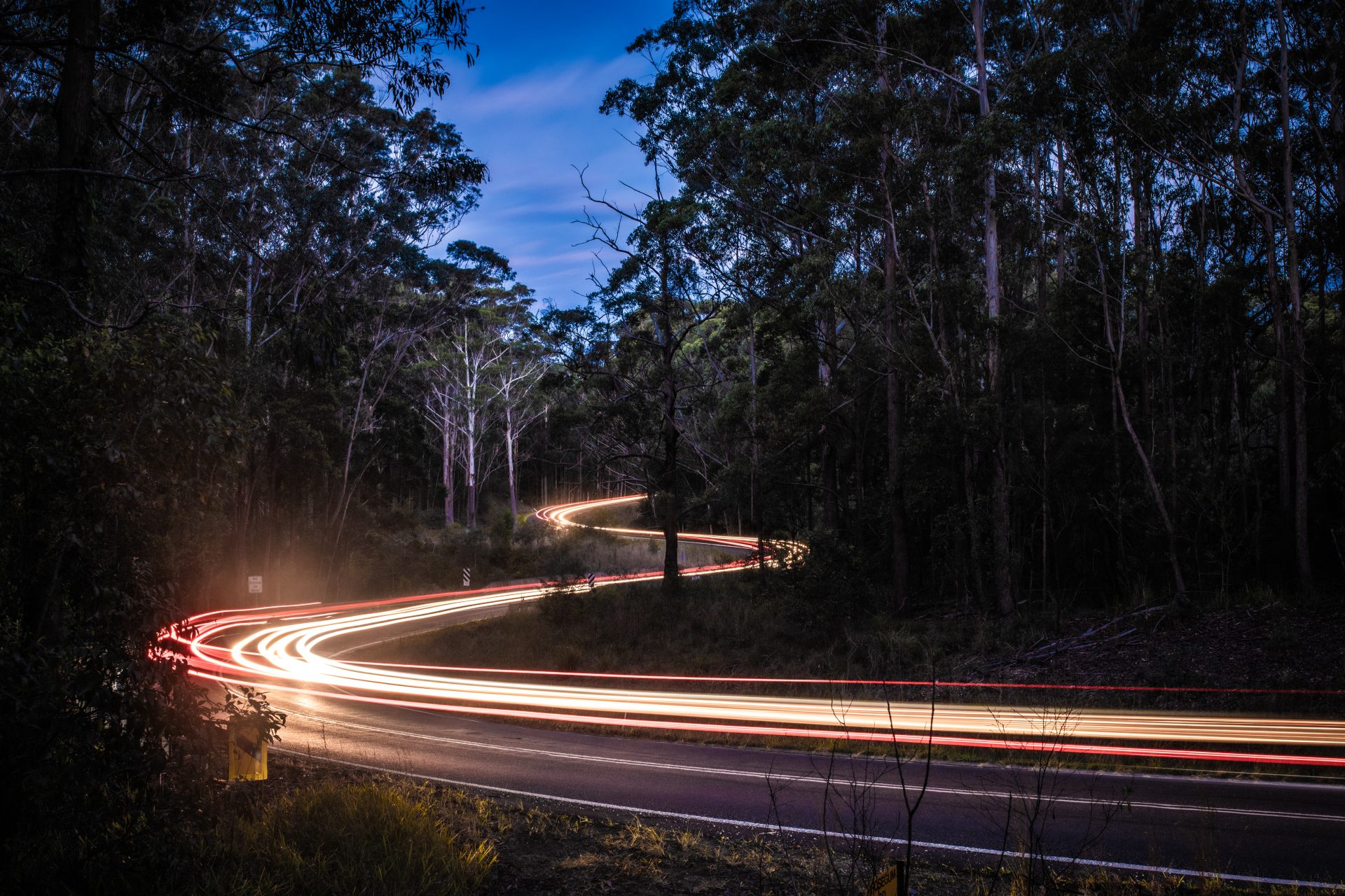 "Rosegum Trails" by Punk Dad Stills